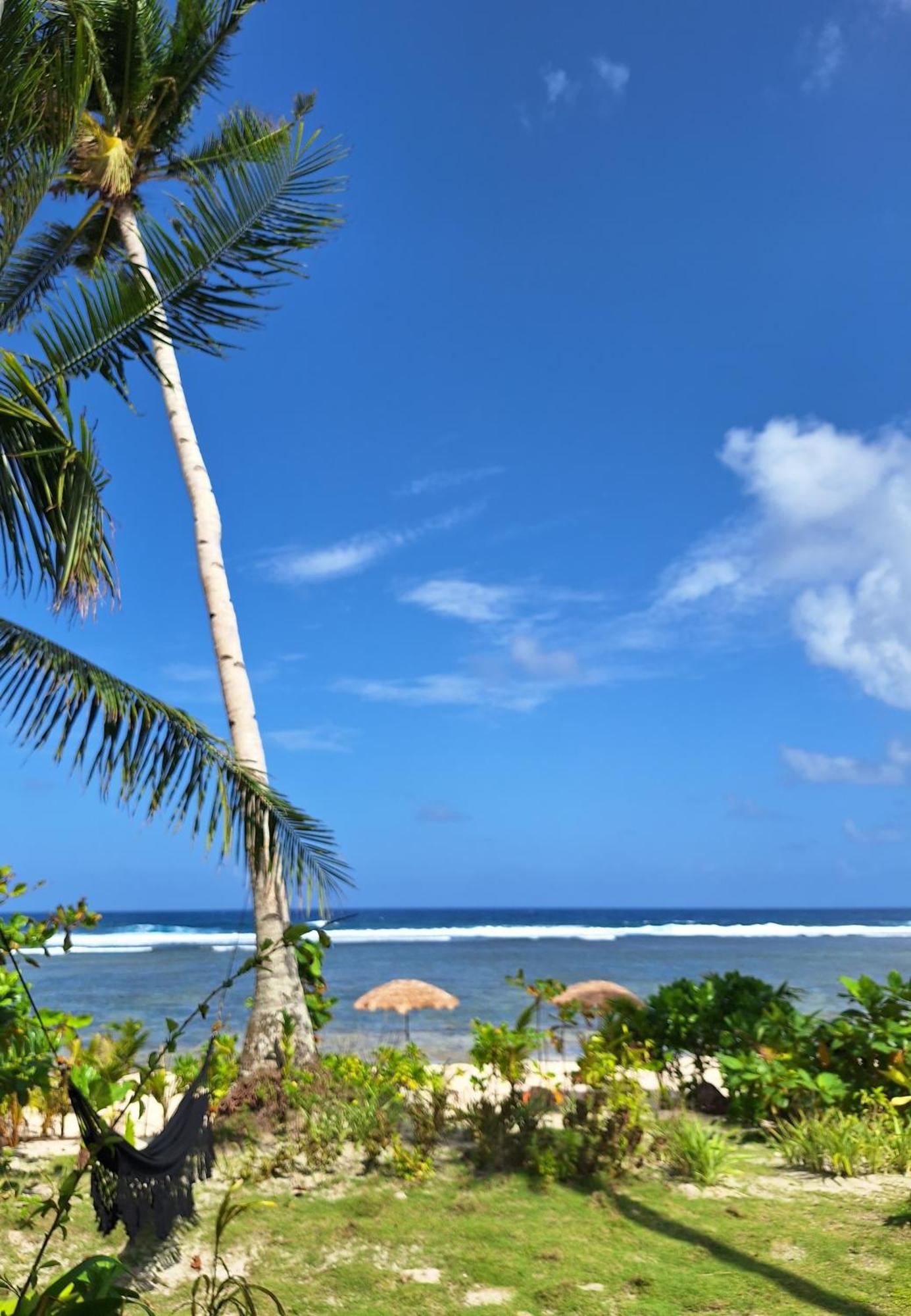 Bamboo Surf Beach San Isidro  Extérieur photo